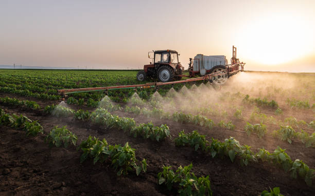 Best Pest Prevention Services  in La Vista, NE
