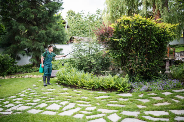 Best Affordable Pest Control Services  in La Vista, NE