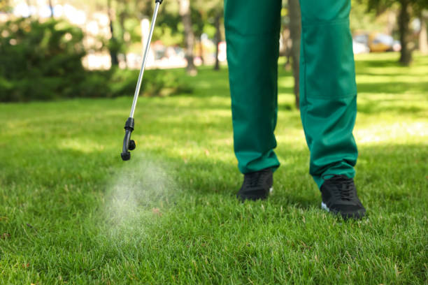 Pest Control for Restaurants in La Vista, NE