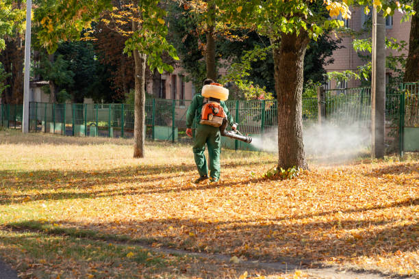 Best Commercial Pest Control Services  in La Vista, NE